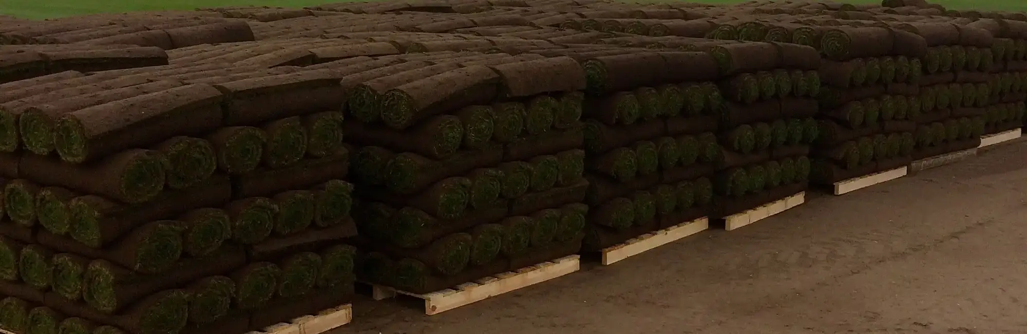 Photo of Lawn Turf Supplies