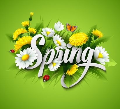 Click Here To Enlarge This Photo Of Spring Time Lawn Care