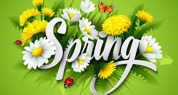 Spring Time Lawn Care