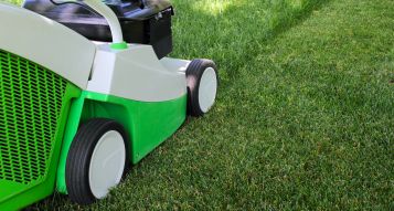 Lawn Care In The Heat