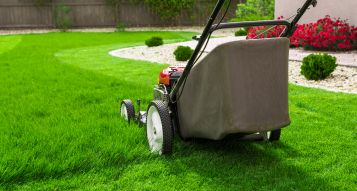 How to mow your lawn – Tip 1 - Set your lawn mower high