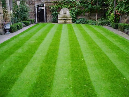 Click Here To Enlarge This Photo Of Marks Turf & Landscapes