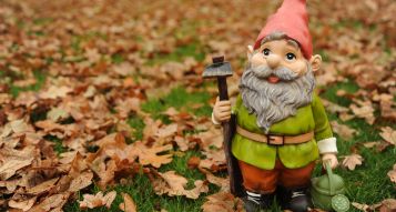 Autumn Tips For Looking After Your Lawn