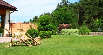 Caring for your garden lawn in June