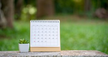 How often should I mow my lawn?