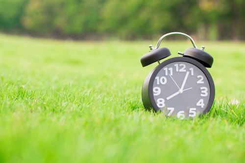 Click Here To Enlarge This Photo Of Marks Turf & Landscapes