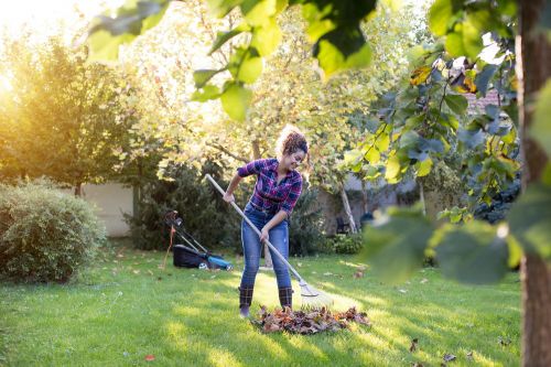 Click Here To Enlarge This Photo Of Marks Turf & Landscapes