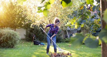 Garden Jobs for the Autumn