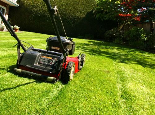 Click Here To Enlarge This Photo Of Marks Turf & Landscapes