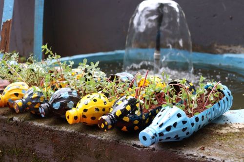 Click Here To Enlarge This Photo Of Gardening On A Budget