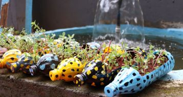 Gardening On A Budget