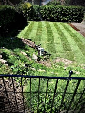 Click Here To Enlarge This Photo Of Fresh lawn turf laid in Wollaton, Nottingham