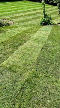 Click Here To Enlarge This Photo Of Fresh lawn turf laid in Wollaton, Nottingham