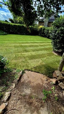 Click Here To Enlarge This Photo Of Fresh lawn turf laid in Wollaton, Nottingham