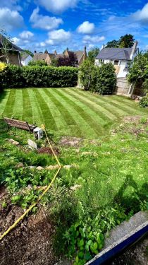 Click Here To Enlarge This Photo Of Fresh lawn turf laid in Wollaton, Nottingham