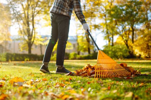 Click Here To Enlarge This Photo Of Essential Garden Tasks for a Bountiful Autumn