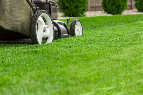 Click Here To Enlarge This Photo Of Lawn Aftercare