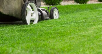 Lawn Aftercare