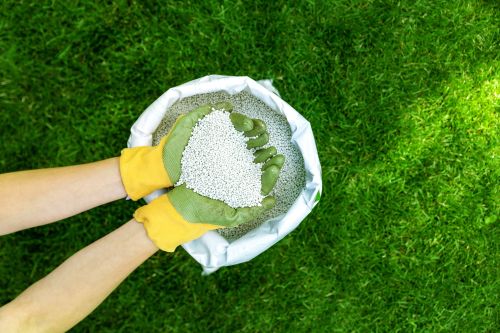 Click Here To Enlarge This Photo Of Spring Lawn Care Guide: Tips for a Lush and Healthy Grass Lawn