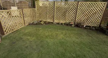 Fencing and planting