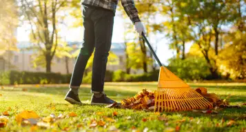 End of Summer Lawn Care: 7 Jobs to Get Your Yard Autumn-Ready