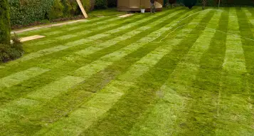 New Lawn Installation In Edwalton&comma; Nottingham