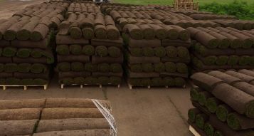 Lawn Turf Mansfield 