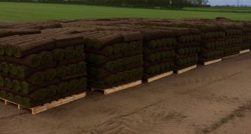 Lawn Turf Nottingham 