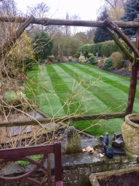 Lawn turf laid in a back garden in Edwinstowe , Nottingham: Swipe To View More Images