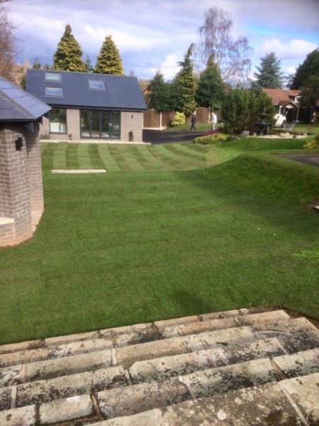 A large lawn laid at Bramcote, Nottingham: Swipe To View More Images