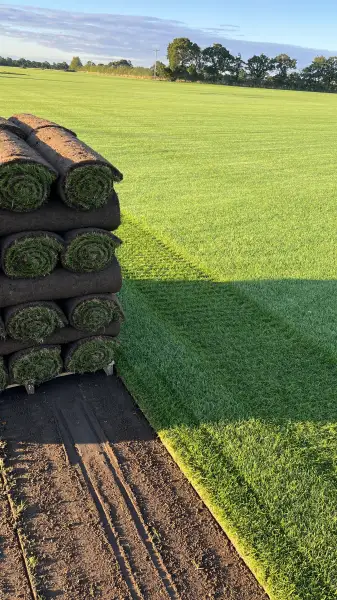 Turf just harvested in Lincolnshire ready for loading on to the truck now.
Ready for delivery to Nottingham: Swipe To View More Images