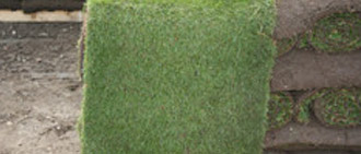 Classic Turf