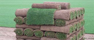 Supreme Turf
