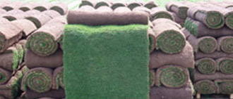 Luxury Green Turf