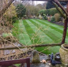 Lawn turf laid in a back garden in Edwinstowe , Nottingham: Click Here To View Larger Image