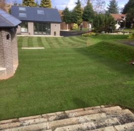 A large lawn laid at Bramcote, Nottingham: Click Here To View Larger Image