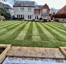 Nice little job of laying 220 square meters of turf today at caythorpe Nottingham very happy customer: Click Here To View Larger Image