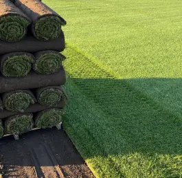 Turf just harvested in Lincolnshire ready for loading on to the truck now.
Ready for delivery to Nottingham: Click Here To View Larger Image